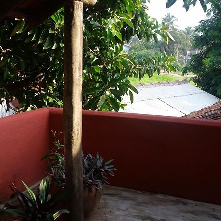 Big Milly'S Backyard Hotell Kokrobite Exteriör bild